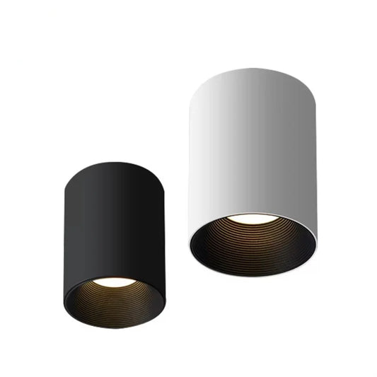 Foyer Can Light